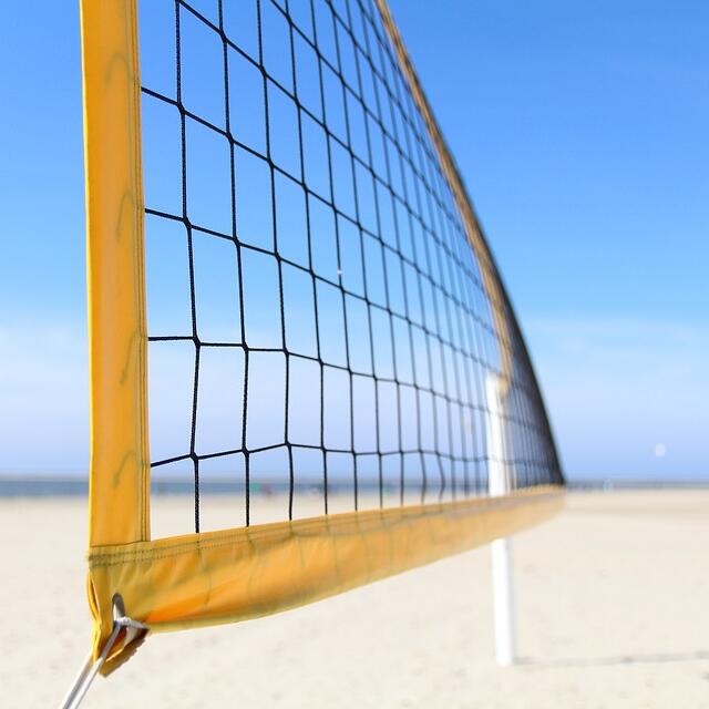 Jaring Olahraga Serbaguna deng - Badminton Area ulasan dan harga
